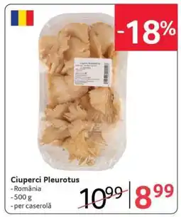 Selgros Ciuperci Pleurotus Ofertă