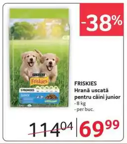 Selgros FRISKIES Ofertă