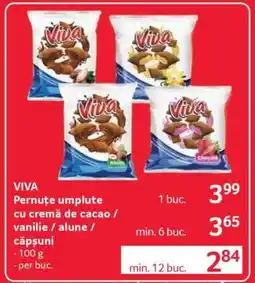 Selgros VIVA Ofertă