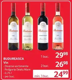 Selgros BUDUREASCA Vin Ofertă