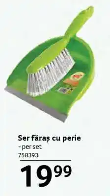 Selgros Ser făraș cu perie Ofertă