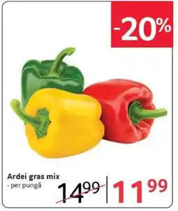 Selgros Ardei gras mix Ofertă