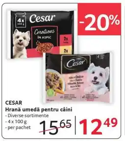 Selgros CESAR Ofertă