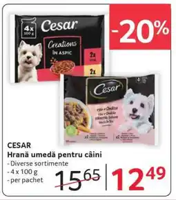 Selgros CESAR Ofertă