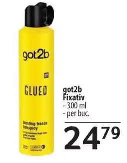Selgros got2b Fixativ Ofertă