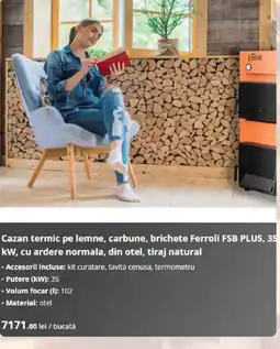 Dedeman Ferroli cazan termic pe lemne carbune brichete FSB PLUS 35 kW Ofertă