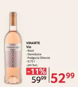 Selgros VINARTE Vin Ofertă