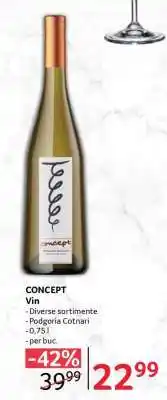 Selgros CONCEPT Vin Ofertă