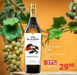 Selgros CAII DE LA LETEA Trilogie Ofertă