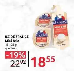Selgros ILE DE FRANCE Mini brie Ofertă