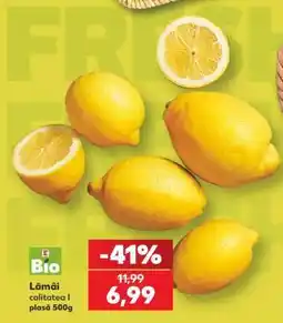 Kaufland Lămâi Ofertă
