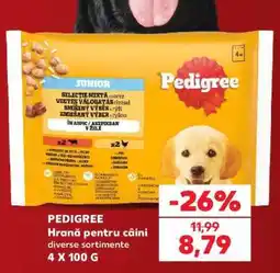 Kaufland PEDIGREE Hrană pentru câini Ofertă