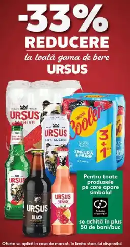 Kaufland Ursus Ofertă