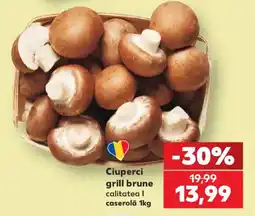 Kaufland Ciuperci grill brune Ofertă