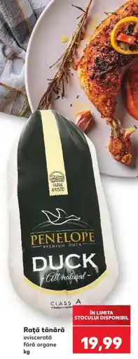 Kaufland Penelope rață tânără Ofertă