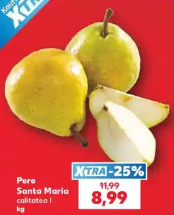 Kaufland Pere Santa Maria Ofertă