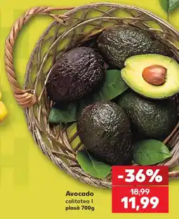 Kaufland Avocado Ofertă
