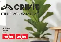 Kaufland Crivit greutate tip bilă Ofertă