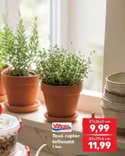 Kaufland Tavă cuptor teflonată Ofertă