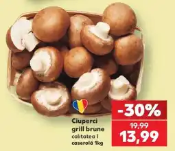 Kaufland Ciuperci grill brune Ofertă