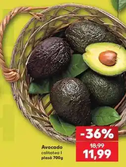 Kaufland Avocado Ofertă