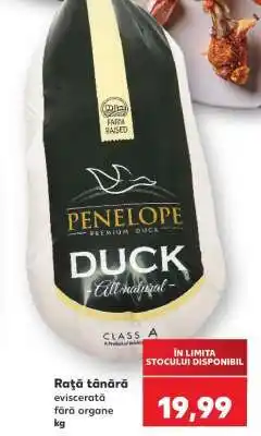 Kaufland Rață tânără Ofertă
