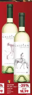 Kaufland CALOIAN Ofertă