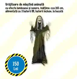 TEDI Vrăjitoare de mlaștină animată Ofertă