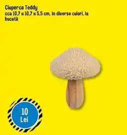 TEDI Ciuperca Teddy Ofertă