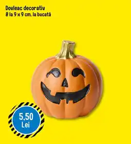 TEDI Dovleac decorativ Ofertă