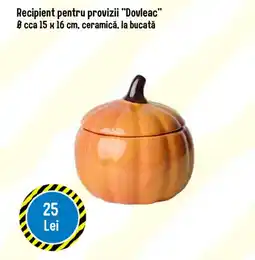 TEDI Dovleac Ofertă