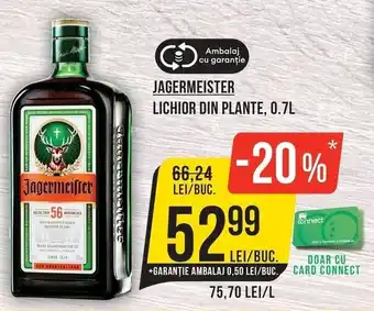 Jagermeister lichior din plante