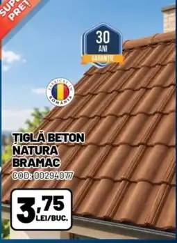 Ambient Bramac tigla beton natura Ofertă