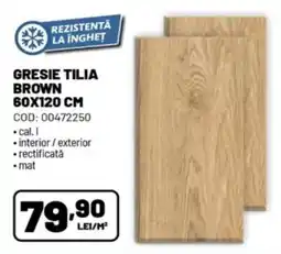 Ambient Gresie tilia brown Ofertă