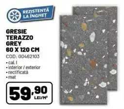 Ambient Gresie terazzo grey Ofertă