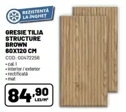 Ambient Gresie tilia structure brown Ofertă