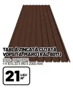Ambient Tablă zincată cutată vopsită, maro (ral 8017) Ofertă