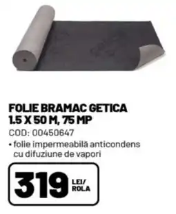 Ambient Bramac folie getica Ofertă