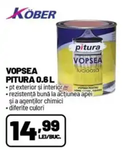 Ambient Köber vopsea Ofertă