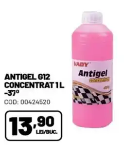 Ambient Vady antigel concentrat Ofertă