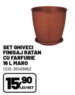 Ambient Set ghiveci finisaj ratan cu farfurie Ofertă
