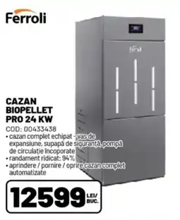 Ambient Ferroli cazan biopellet pro 24 kw Ofertă