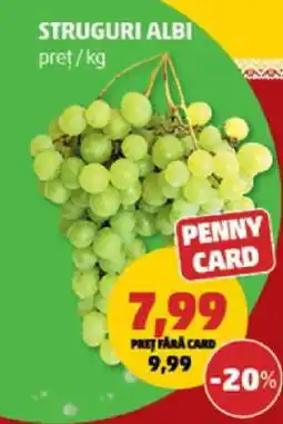Penny Struguri albi Ofertă
