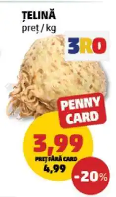 Penny Țelină Ofertă