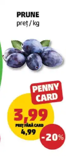 Penny Prune Ofertă