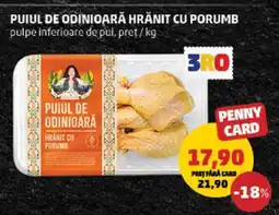 Penny PUIUL DE ODINIOARĂ HRĂNIT CU PORUMB Ofertă