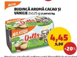 Penny Budincă aromă cacao și vanilie 2x125g Ofertă