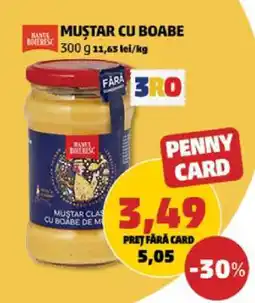 Penny Muștar cu boabe Ofertă