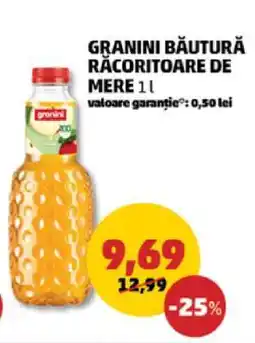 Penny GRANINI BĂUTURĂ RĂCORITOARE DE MERE 1L Ofertă