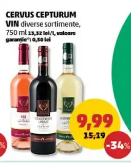 Penny Cervus Cepturum Vin Ofertă
